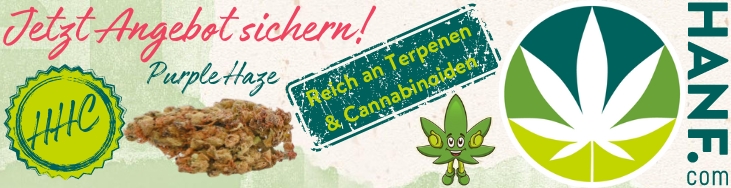Angebotsbanner_Purple_Haze

