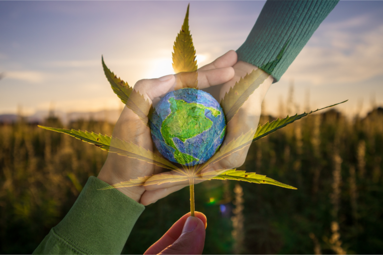 Symbolbild Nachhaltigkeit